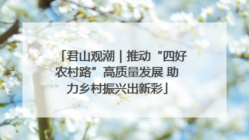 君山观潮｜推动“四好农村路”高质量发展 助力乡村振兴出新彩