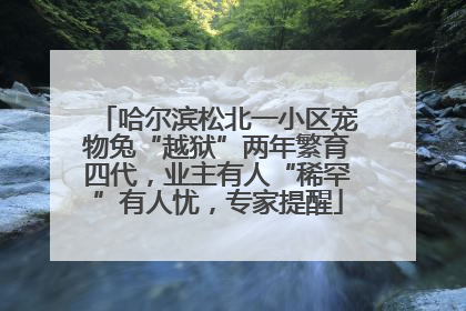 哈尔滨松北一小区宠物兔“越狱”两年繁育四代，业主有人“稀罕”有人忧，专家提醒