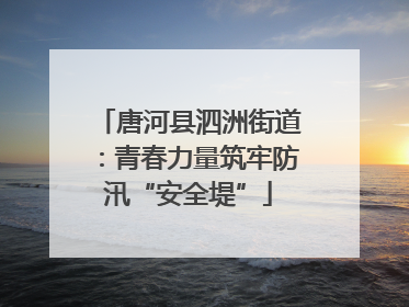 唐河县泗洲街道：青春力量筑牢防汛“安全堤”