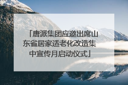 唐派集团应邀出席山东省居家适老化改造集中宣传月启动仪式