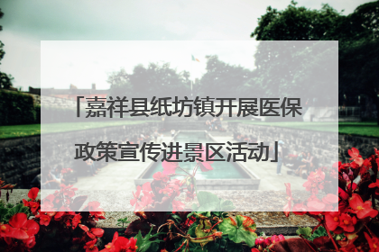 嘉祥县纸坊镇开展医保政策宣传进景区活动