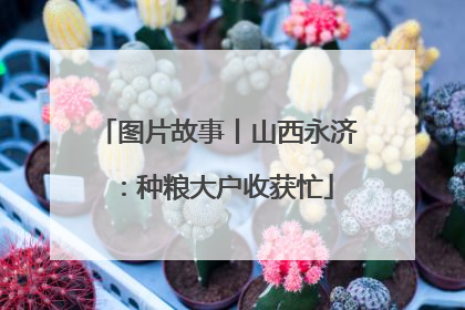图片故事丨山西永济：种粮大户收获忙