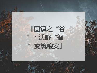 固镇之“谷”：沃野“智”变筑粮安
