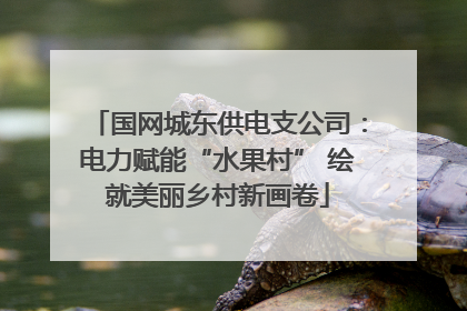 国网城东供电支公司：电力赋能“水果村” 绘就美丽乡村新画卷