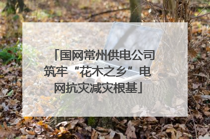 国网常州供电公司筑牢“花木之乡”电网抗灾减灾根基
