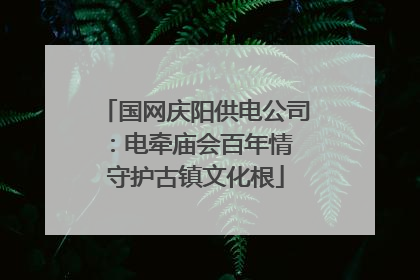 国网庆阳供电公司：电牵庙会百年情 守护古镇文化根