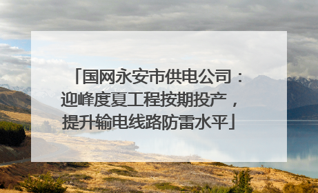 国网永安市供电公司：迎峰度夏工程按期投产，提升输电线路防雷水平