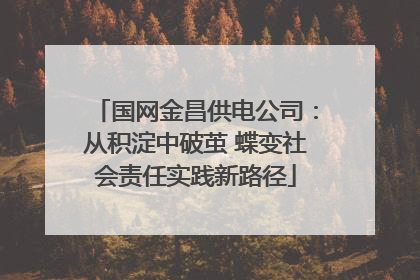 国网金昌供电公司：从积淀中破茧 蝶变社会责任实践新路径