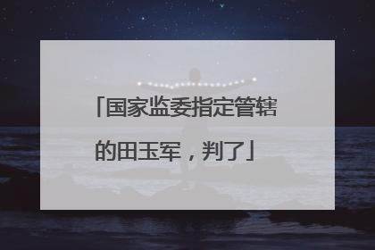 国家监委指定管辖的田玉军，判了