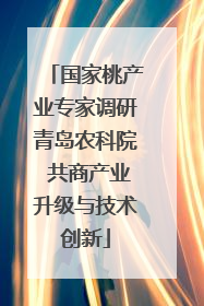 国家桃产业专家调研青岛农科院 共商产业升级与技术创新