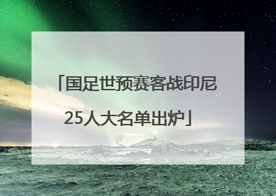 国足世预赛客战印尼25人大名单出炉