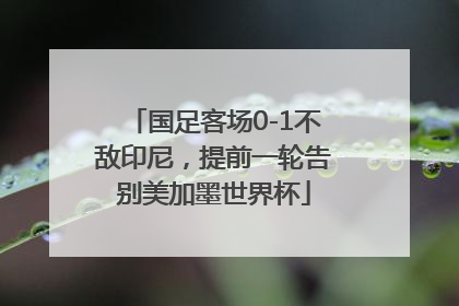 国足客场0-1不敌印尼，提前一轮告别美加墨世界杯