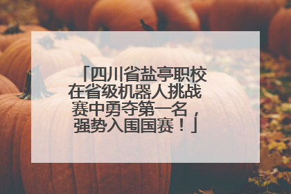 四川省盐亭职校在省级机器人挑战赛中勇夺第一名，强势入围国赛！