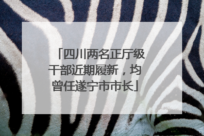 四川两名正厅级干部近期履新，均曾任遂宁市市长