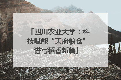 四川农业大学：科技赋能“天府粮仓”谱写稻香新篇