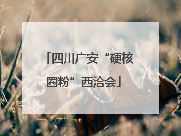 四川广安“硬核圈粉”西洽会