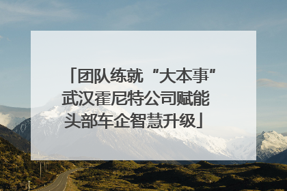 团队练就“大本事” 武汉霍尼特公司赋能头部车企智慧升级