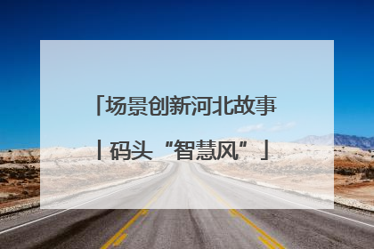 场景创新河北故事丨码头“智慧风”