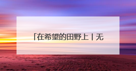 在希望的田野上丨无人机“巡诊”、传感器“把脉” 解锁田间地头的丰收密码
