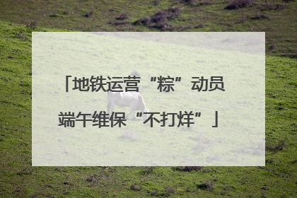 地铁运营“粽”动员 端午维保“不打烊”