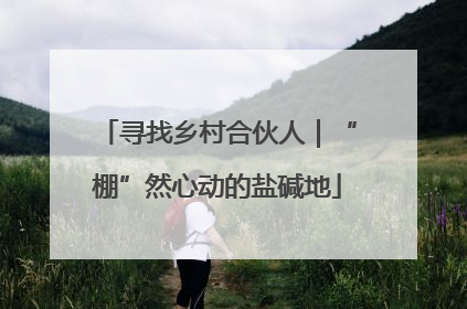 寻找乡村合伙人｜“棚”然心动的盐碱地