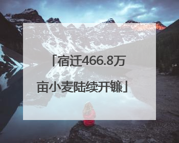 宿迁466.8万亩小麦陆续开镰
