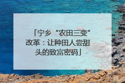 宁乡“农田三变”改革：让种田人尝甜头的致富密码