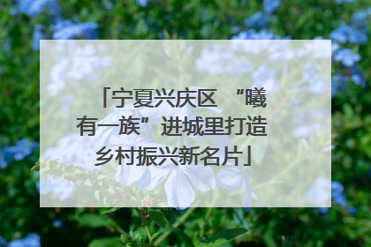 宁夏兴庆区 “曦有一族”进城里打造乡村振兴新名片