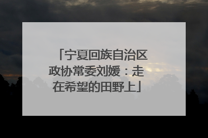 宁夏回族自治区政协常委刘媛：走在希望的田野上