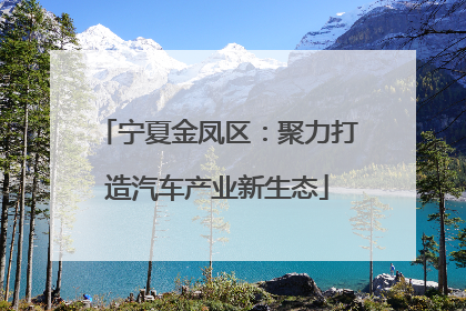 宁夏金凤区：聚力打造汽车产业新生态