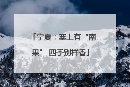 宁夏：塞上有“南果” 四季别样香