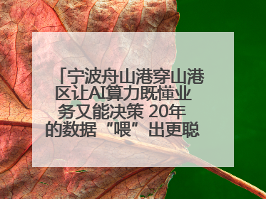 宁波舟山港穿山港区让AI算力既懂业务又能决策 20年的数据“喂”出更聪明的港口
