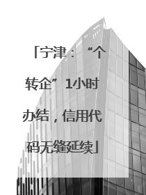 宁津：“个转企”1小时办结，信用代码无缝延续