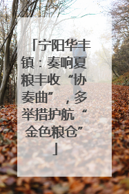 宁阳华丰镇：奏响夏粮丰收“协奏曲”，多举措护航“金色粮仓”