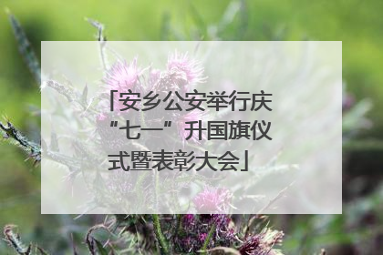 安乡公安举行庆“七一”升国旗仪式暨表彰大会