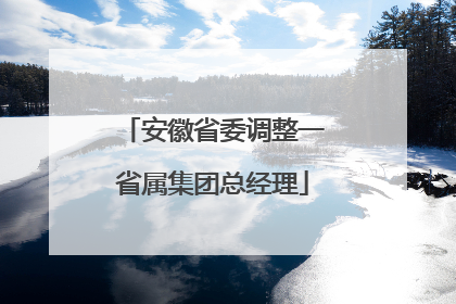 安徽省委调整一省属集团总经理