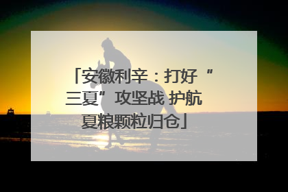 安徽利辛：打好“三夏”攻坚战 护航夏粮颗粒归仓