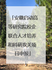 安徽启动高等研究院校企联合人才培养和科研攻关项目申报