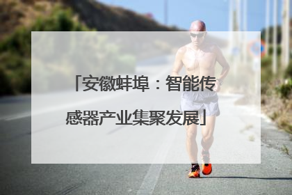 安徽蚌埠：智能传感器产业集聚发展