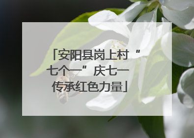 安阳县岗上村“七个一”庆七一 传承红色力量