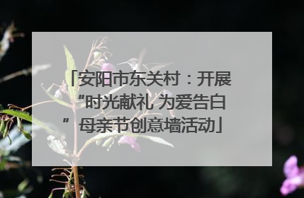 安阳市东关村：开展“时光献礼 为爱告白”母亲节创意墙活动