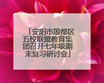安阳市殷都区五校联盟教育集团召开七年级期末复习研讨会