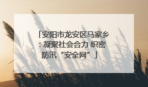 安阳市龙安区马家乡：凝聚社会合力 织密防汛“安全网”