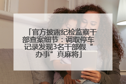 官方披露纪检监察干部查案细节：调取停车记录发现3名干部假“办事”真麻将