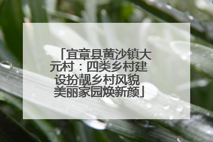 宜章县黄沙镇大元村：四类乡村建设扮靓乡村风貌 美丽家园焕新颜