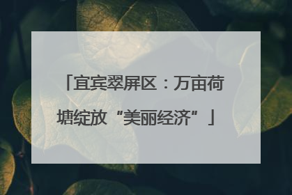 宜宾翠屏区：万亩荷塘绽放“美丽经济”