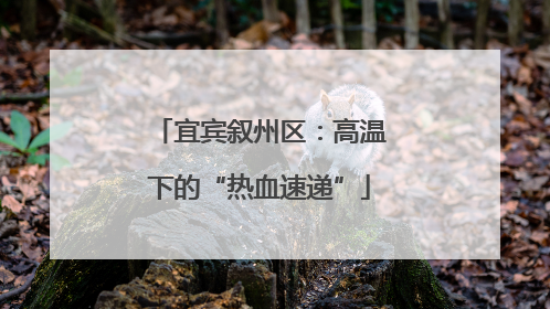 宜宾叙州区：高温下的“热血速递”