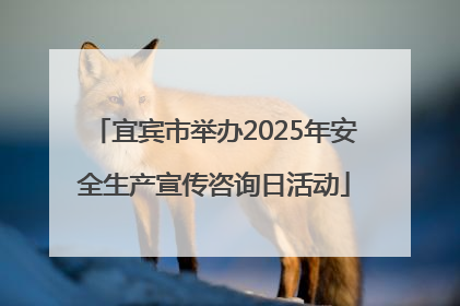 宜宾市举办2025年安全生产宣传咨询日活动