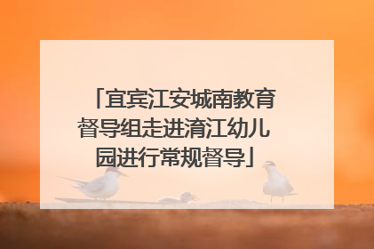 宜宾江安城南教育督导组走进淯江幼儿园进行常规督导