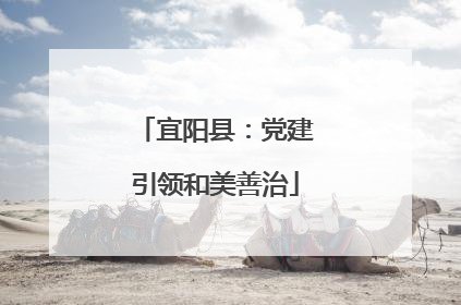 宜阳县：党建引领和美善治